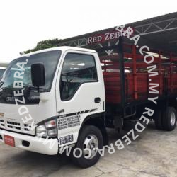 Isuzu Single Cabin Wooden Cargo